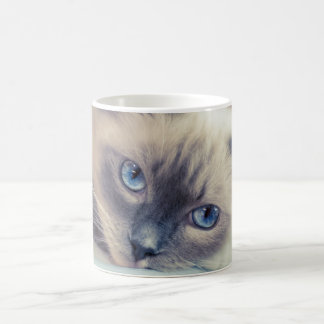 Atemberaubend Blue Mit Augen Ragdoll Cat Verwandlungstasse