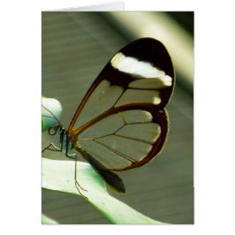 Atemberaubend-braun-glatter Schmetterling