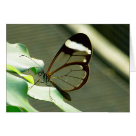 Atemberaubend-braun-glatter Schmetterling