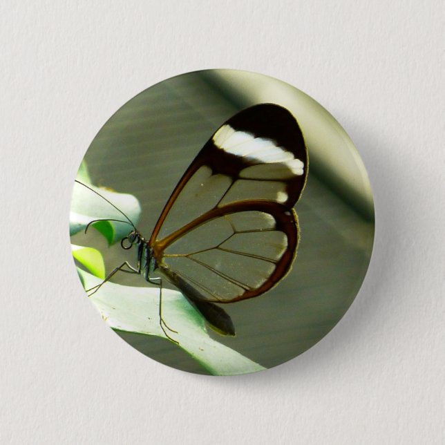 Atemberaubend-braun-glatter Schmetterling Button (Vorderseite)