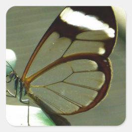 Atemberaubend-braun-glatter Schmetterling Quadratischer Aufkleber