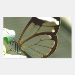 Atemberaubend-braun-glatter Schmetterling Rechteckiger Aufkleber