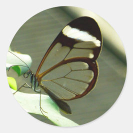 Atemberaubend-braun-glatter Schmetterling Runder Aufkleber