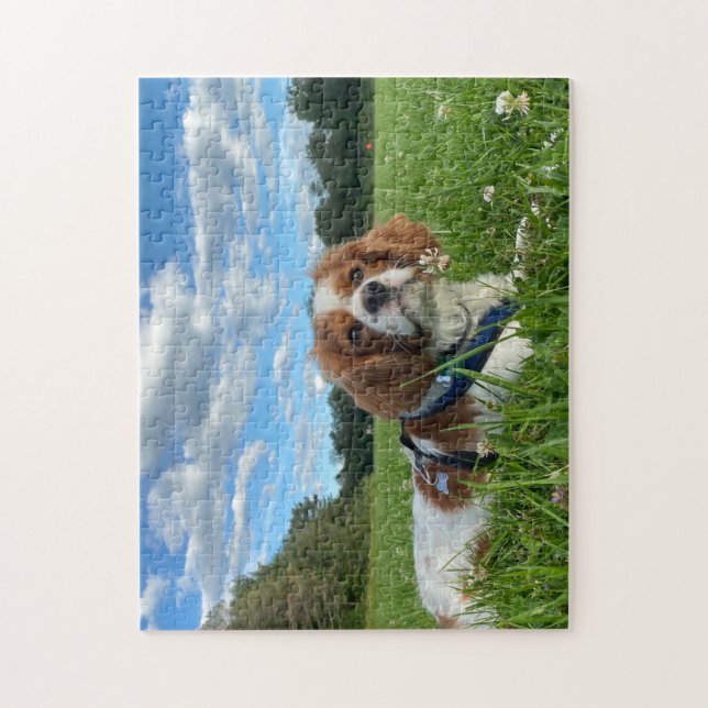 Atemberaubend Cavalier King Charles Spaniel Puzzle (Vertikal)