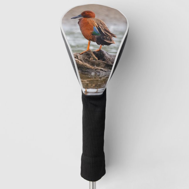 Atemberaubend Cinnamon Aquamarin Duck on Rock Golf Headcover (Vorderseite)