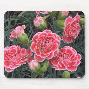 Atemberaubend Dianthus Mousepad