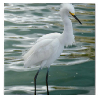Atemberaubend Egret Bird Fliese