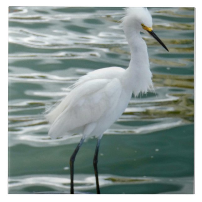 Atemberaubend Egret Bird Fliese (Vorderseite)