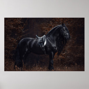 Atemberaubend Elegant Sport Dressage Friesian Stal Poster