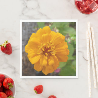 Atemberaubend Gartenrestaurant mit Party Napkin mi Serviette