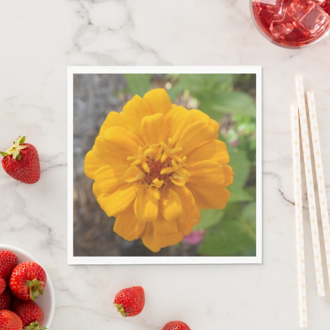 Atemberaubend Gartenrestaurant mit Party Napkin mi Serviette (Beispiel)