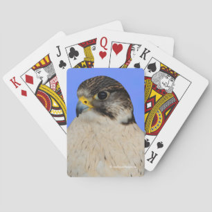 Atemberaubend Gyrfalcon Saker Hybrid Falcon Spielkarten