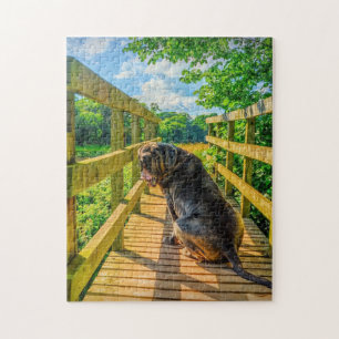 Atemberaubend Neapolitan Mastiff Puzzle