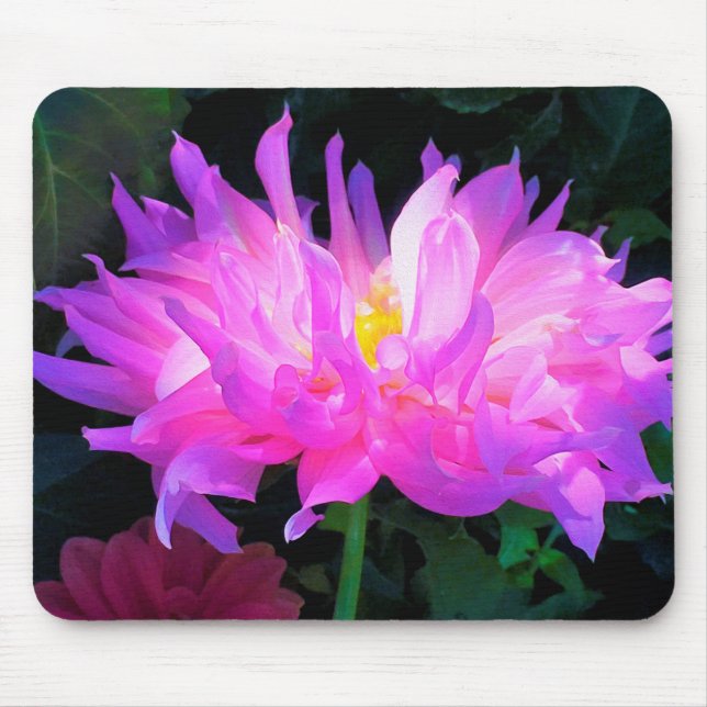 Atemberaubend rosa und Lila Kaktus Dahlia Mousepad (Vorne)