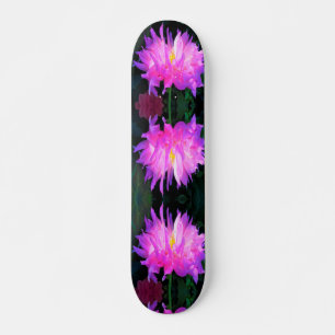 Atemberaubend rosa und Lila Kaktus Dahlia Skateboard