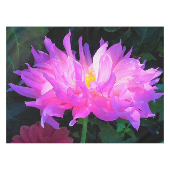 Atemberaubend rosa und Lila Kaktus Dahlia Tischdecke (Vorderseite (Horizontal))