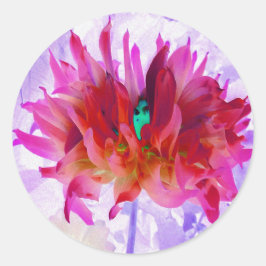 Atemberaubend Rot und Heiß rosa Kaktus Dahlia Runder Aufkleber