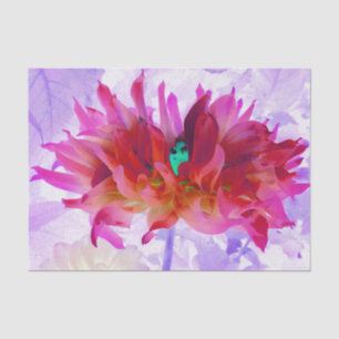 Atemberaubend Rot und Heiß rosa Kaktus Dahlia Seidenpapier