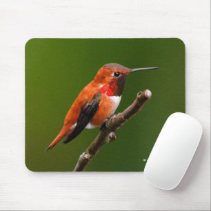 Atemberaubend Rufous Hummingbird auf dem Kirschbau Mousepad