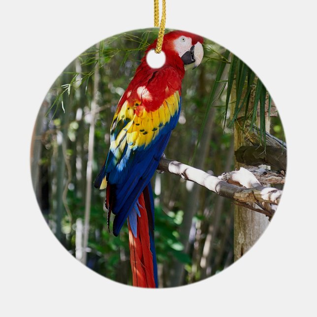 Atemberaubend Scarlet Macaw Parrot Keramik Ornament (Vorne)