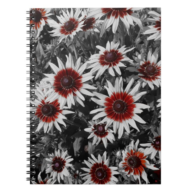 Atemberaubend Schwarz-Mit Augen Susans Spiral-Note Notizblock (Vorderseite)