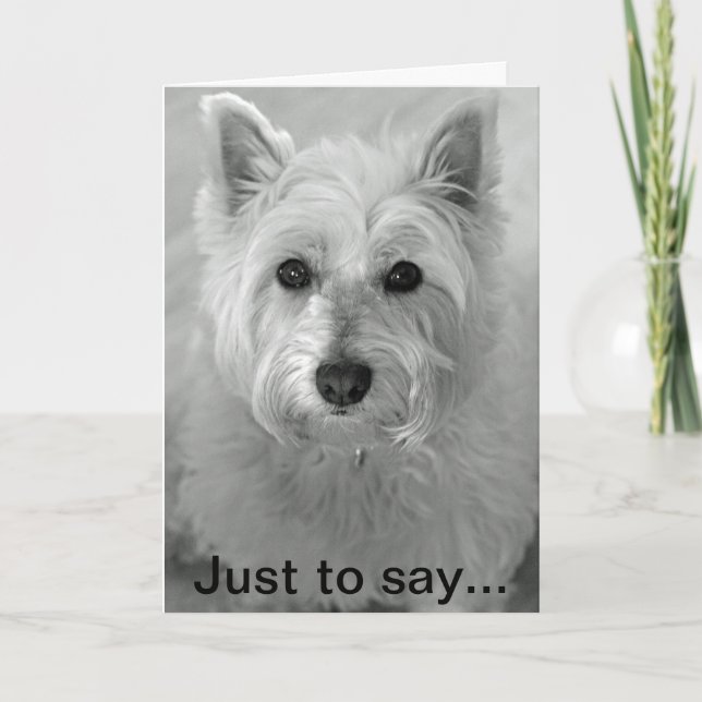 Atemberaubend Westie Dog - Sorry card Karte (Vorderseite)