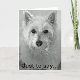Atemberaubend Westie Dog - Sorry card Karte