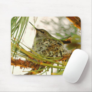 Atemberaubende Anna-Hummingbird-Mama auf Nest Mousepad