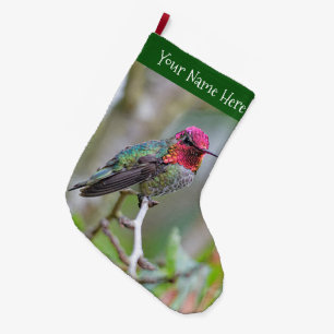 Atemberaubende Anna's Hummingbird auf dem Zweig Pf Großer Weihnachtsstrumpf