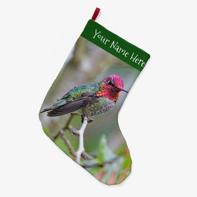 Atemberaubende Anna's Hummingbird auf dem Zweig Pf Großer Weihnachtsstrumpf (Vorderansicht (hängend))