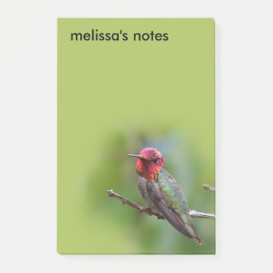 Atemberaubende Anna's Hummingbird auf Obstbaum Post-it Klebezettel
