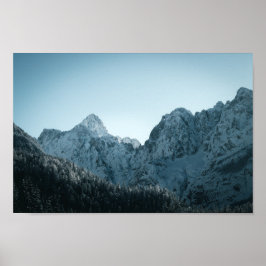 Atemberaubende Berge und Fichtenwälder Poster