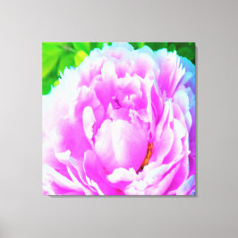 Atemberaubende Blume für doppelrosa Peony Leinwanddruck