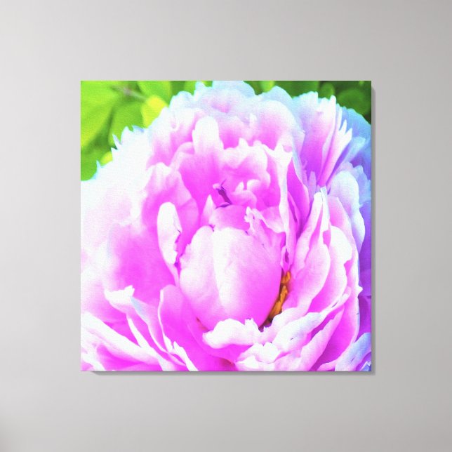 Atemberaubende Blume für doppelrosa Peony Leinwanddruck (Vorderseite)