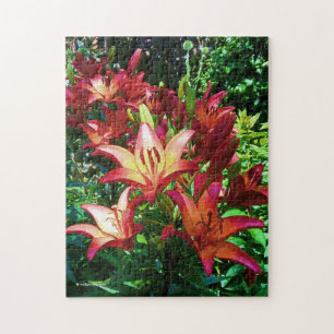 Atemberaubende Blume von Red Orange Asiatic Lilies Puzzle