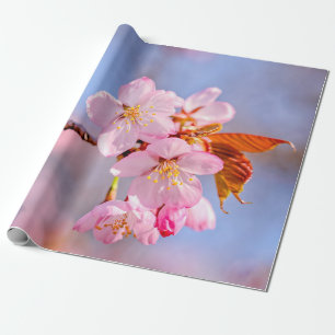 Atemberaubende Empfindlichkeit von Sakura-Blume Geschenkpapier
