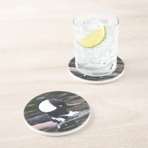 Atemberaubende, gehobene Merganser Duckswims von Getränkeuntersetzer