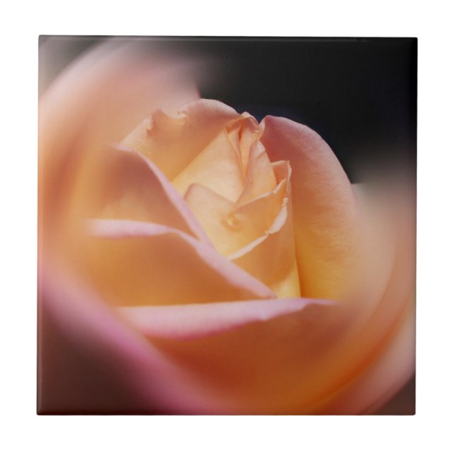 Atemberaubende Gelbrosen-Blume Fliese (Vorderseite)