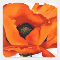 Atemberaubende Georgia O'Keefe Red Poppy Blume