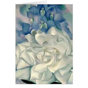 Atemberaubende Georgia O'Keefe weiße Rose und