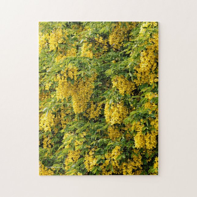 Atemberaubende Goldene Kette / Laburnum Tree Puzzle (Vertikal)