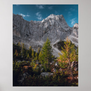 Atemberaubende Herbstlandschaft unter Bergen Poster