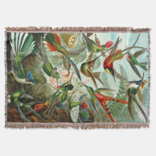 Atemberaubende Hummingbirds Print von Ernst Haecke Decke