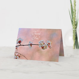 Atemberaubende japanische Apricot-Blume Dankeskarte