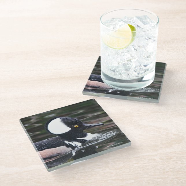 Atemberaubende Kapuzenente Glasuntersetzer (Schrägansicht)