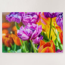 Atemberaubende Lila Parrot Tulip Blume