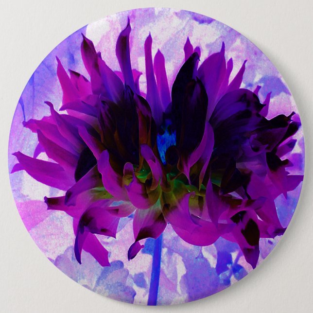 Atemberaubende Lila und schwarze Kaktus Dahlia Button (Vorderseite)
