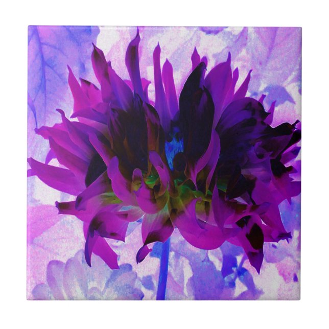Atemberaubende Lila und schwarze Kaktus Dahlia Fliese (Vorderseite)