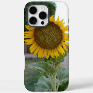 Atemberaubende natürliche Sonnenblume Goldene St iPhone 16 Pro Max Hülle
