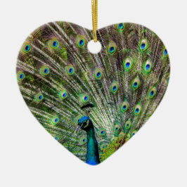 Atemberaubende Pfau- und Federn Zubehör für Fotos Keramik Ornament